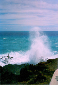 迫力満点のハワイ オアフ島のハロナ潮吹き穴