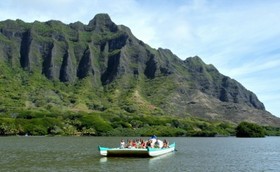 クアロア牧場の風景