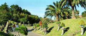 盆栽公園