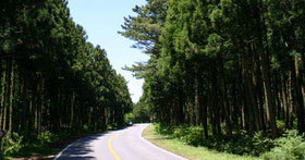 お化け道路