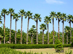 翰林公園