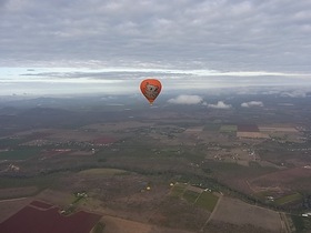 隣のバルーンを見るのも楽しい