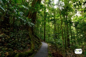 世界遺産指定ナチュラルブリッジ国立公園散策中