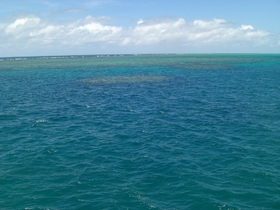 一面に広がる青い海