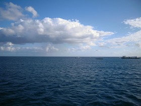 どこまでも広がる海。船の上から景色を眺めるのも格別