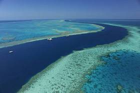 ハミルトン島のまわりは美しい海の宝庫です