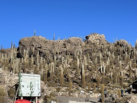 乾季のウユニ塩湖はインカワシ島の訪問も可能