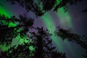 星空とのコラボレーションは夢のような風景