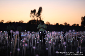 幻想的な風景。ナウシカの世界!?