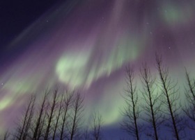 木や星空など、自然との調和も美しい