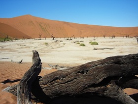 アフリカ大陸ナミビアに広がる世界最古のナミブ砂漠