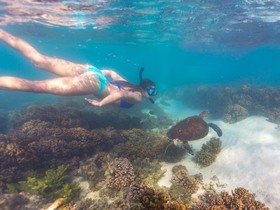 透き通る海で気軽にお魚観察！人気のシュノーケル体験