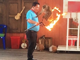 プーケット動物園