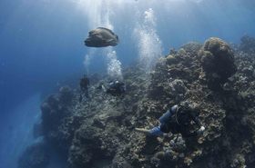 世界遺産で海中散策を楽しみましょう