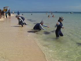 浅瀬にも小さなお魚がいっぱい！