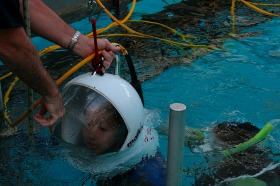 泳げなくても水中世界を楽しめるシーウォーカー