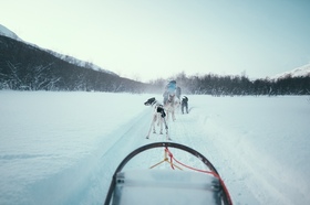 雪に覆われた白銀の世界