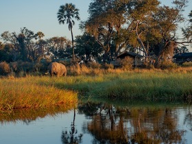 オカバンゴデルタでは、季節により異なる景観が楽しめます