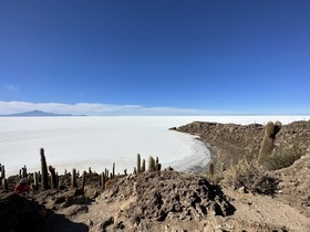 乾季のウユニ塩湖はインカワシ島の訪問がおすすめ