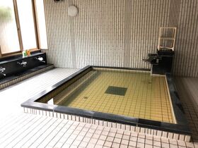 「西南院(さいなんいん)」バイタル(活性化)ミネラル温泉