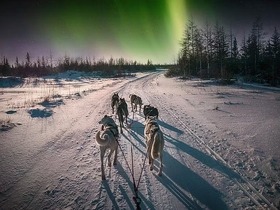 幻想的なオーロラの鑑賞後は、キャンプファイヤーBBQであったまります。