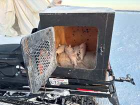 お客様写真提供