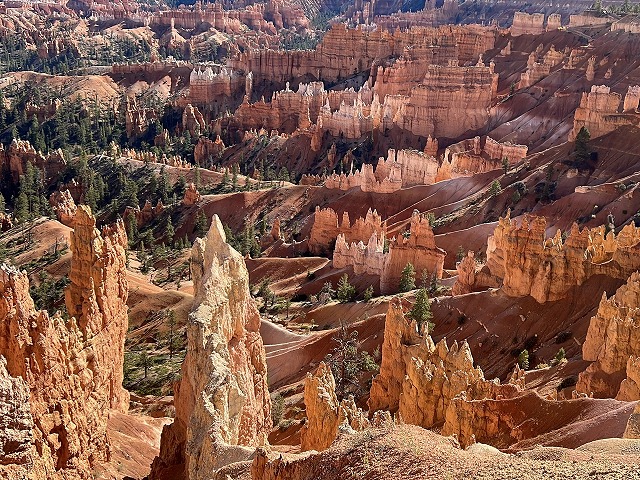 8大絶景巡り＆グランドキャニオンで朝日・夕日鑑賞！アンテロープ