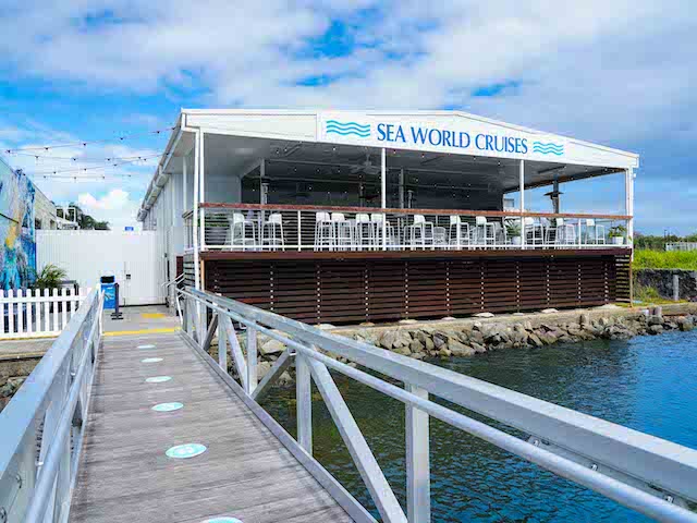 ゴールドコースト 【2025年シーズン開始 / 5月-11月初旬】奇跡の瞬間