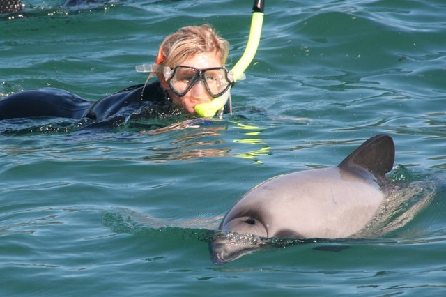 イルカル SUPER GT第5戦鈴鹿、最後尾スタートの12号車カルソニック IMPUL Zが大