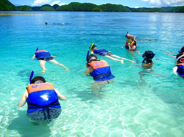 パラオ ロックアイランドツアー ミルキーウェイで泥パックの予約なら