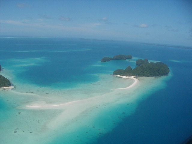 パラオ ミルキーウェイ、ジェリーフィッシュレイク＆ロングビーチを1日
