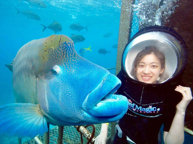 ケアンズ リーフマジックで行くグレートバリアリーフクルーズの予約