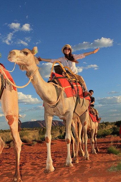 オッケー牧場 ligne roset 背もたれのみ2個セット ラクダに乗ってエアーズロック・サンライズ|ホットホリデー