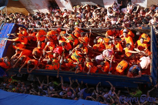 ★トマト祭★ トマティーナ - Wikipedia