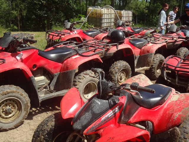 ケアンズ 2023年閉鎖 4輪バギー(ATV)でジャングル走行の予約ならホット