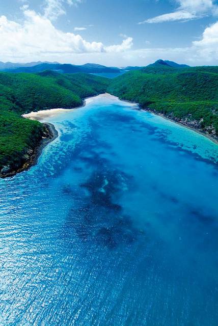 海の綺麗さとビーチの白さに定評があるハミルトン島