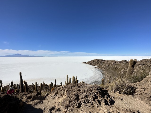 ウユニ塩湖 mtd0058 flk020204 ウユニ塩湖＆夕日鑑賞 + 塩のホテル2泊パッケージ 【塩のホテル2