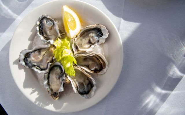 ケアンズ サンセットディナークルーズ|ホットホリデー