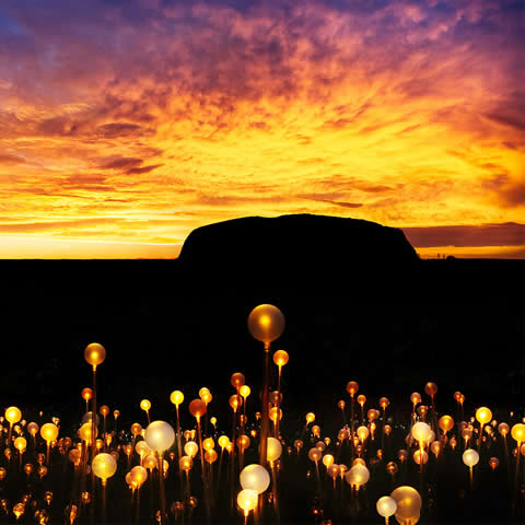 フィールド・オブ・ライト - エアーズロックを彩る5万球以上の