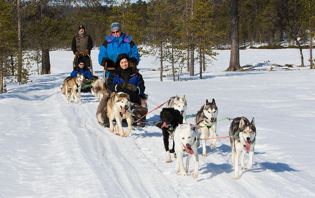 ヘルシンキ ラップランド郊外ロッジでオーロラ鑑賞 2泊3日