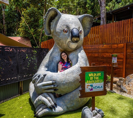 コアラ 専用 見上げるおもちちゃん🐨🍡 📷2025.11 #東山動植物園 #コアラ #おもち