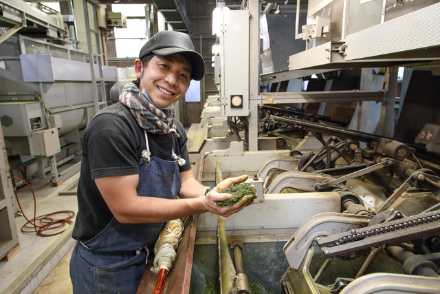 深蒸し八女茶。大正10年お茶生産者から始まったお茶屋・牛島製茶工場