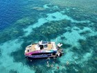 半日でも行ける！午後の出発 世界遺産の海・グレートバリアリーフでシュノーケリングツアー