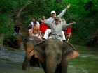 本格的象乗りトレッキング付き！世界遺産「カオヤイ国立公園」散策