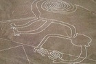 ナスカの地上絵・ワカチナオアシス1泊2日【長距離バス利用・混乗/ イカ1泊ワカチナ観光付/ 英語ガイド/ ピスコ空港発着遊覧飛行】