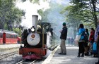 世界の果て号に乗車！ティエラ・デル・フエゴ国立公園半日ツアー