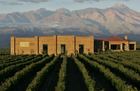 アルゼンチン最大のワイン産地、メンドーサのワインティスティング半日ツアー