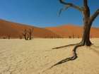 世界遺産ナミブ砂漠を訪れる！2泊3日キャンプツアー【英語ガイド/ウィントフーク発着】