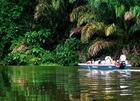 ボートで訪れる未開のジャングル・トルトゥゲーロ国立公園【サンホセ発着】