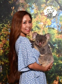 ケアンズの街中でコアラ抱っこ写真撮影！ケアンズ・コアラズ＆クリーチャーズ（ミニ動物園）